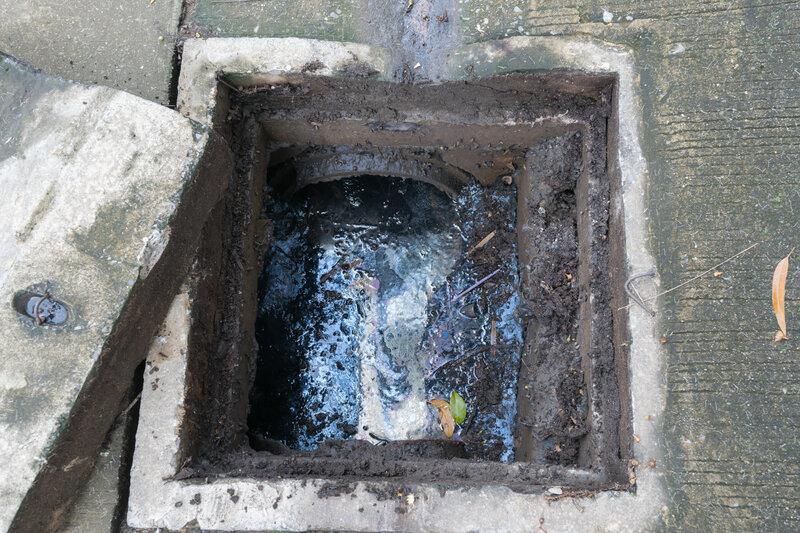 Blocked Sewer Drain Unblocked in Alton Hampshire